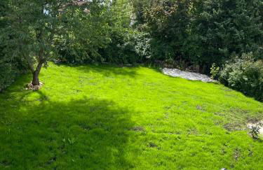 Tanjas Ferienhaus - Foto 24