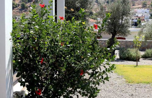 Villa Cleoboulos - Foto 28