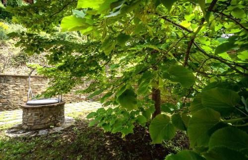 Experience the charm of Tenuta Le Caselle, a cozy farmhouse surrounded by nature and comfort! - Foto 57