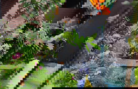 Hoi An Coco Bungalows - Foto 37