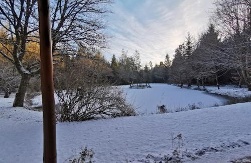 Chalet - gîte avec étang - Foto 18