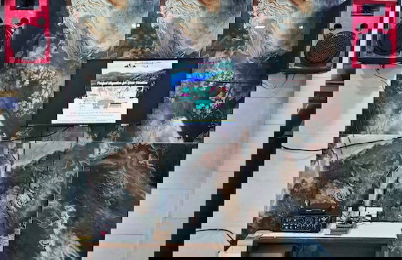 Mountain Majesty Villa - Foto 11