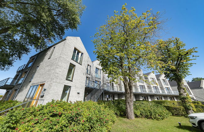 Steuermann - Foto 16