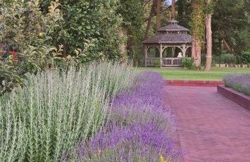 RZĄDCÓWKA Rogi - Foto 13