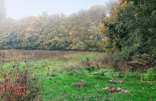 6 Person Holiday Home in Kettinge - Foto 37