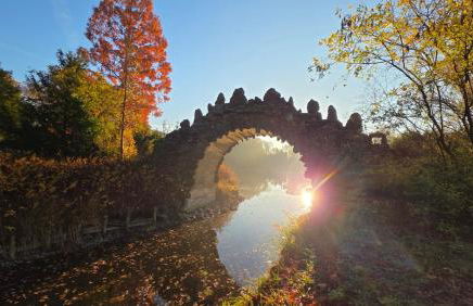 Ferien im Gartenrausch - Gönn Dir eine Auszeit im Herzen von Wörlitz - Foto 43