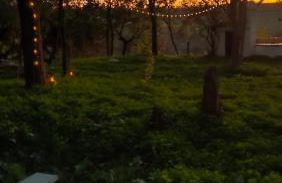 Las Brujas - Foto 18