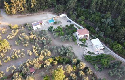 Chaihoutes stone House and Villa into Olive farm in Zia - Photo 104