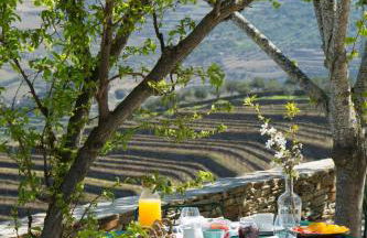 Quinta da Côrte - Foto 26