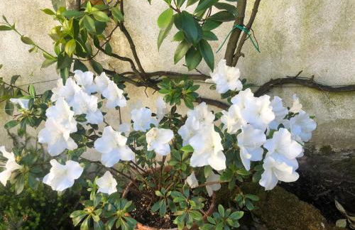 Casa di Silvia - Photo 5