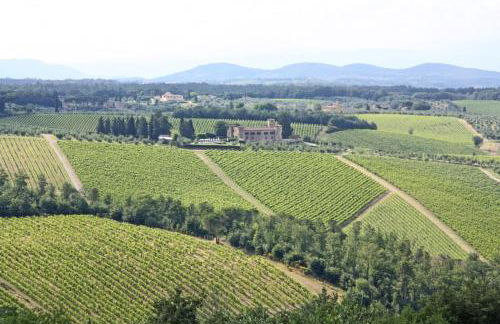 AGRITURISMO VICOLABATE - Foto 4