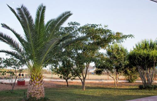 Ktima Anastasia - Foto 48