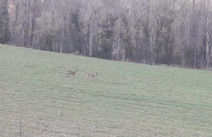 Casa Féliz duplex y apartamento Rural - Foto 30