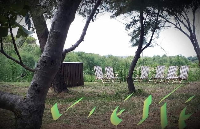 Villa Neri - Foto 10