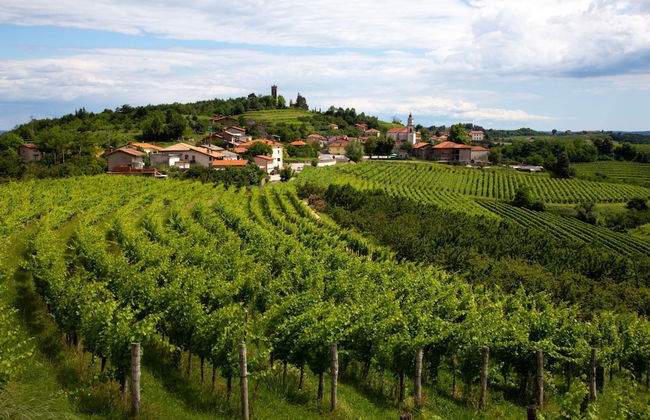 Luxury Villa Eva Pool Whirlpool & Sauna - Foto 35