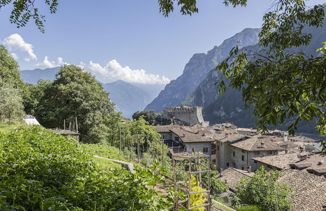 Il Nido Dell Artista - Foto 23