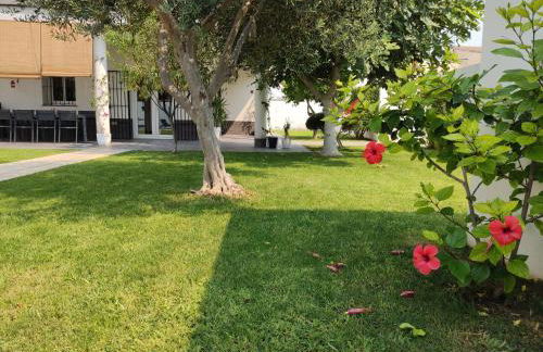 Chalet con piscina - Foto 45