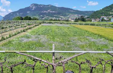 8 Grappoli Agritur - Foto 46