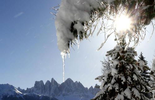 Residence Alpenrose - Foto 64