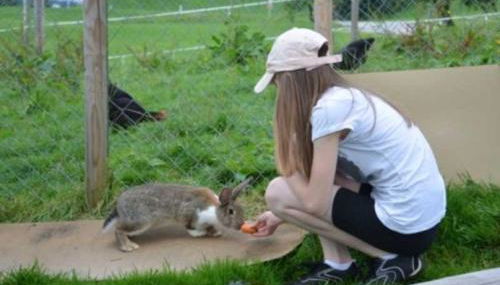 Hof Rossruck - Foto 5