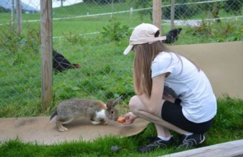 Hof Rossruck - Foto 5