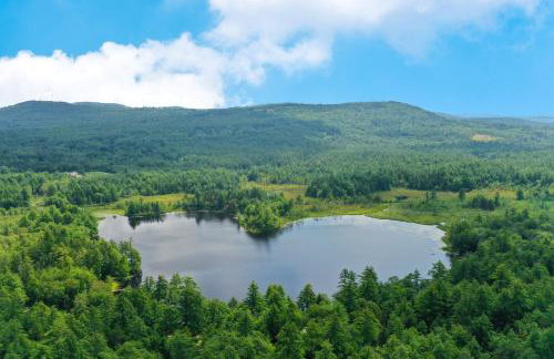 Cozy in the Woods - Foto 6