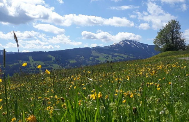 Apartment in Thuringia - Foto 26