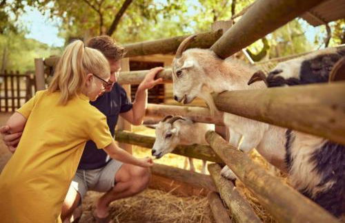 Vacances inoubliables en Ardèche 4 personnes - Foto 23