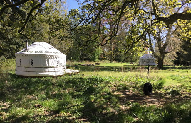 Bamff Ecotourism - Foto 23