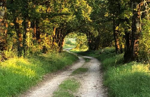 Charmant Chalet LE DAMELI, Village du Soleil, Chalet 61 - Foto 35