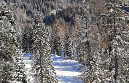 Lärchenheim - Foto 11