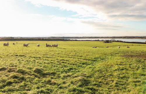 Kenfig Farm - Foto 35