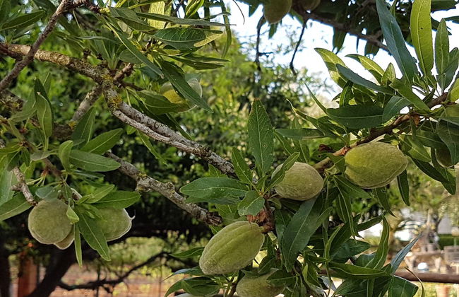 Le Radici Casa Vacanze - Foto 56