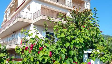 Ankypy Studios - Foto 3