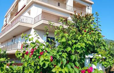 Ankypy Studios - Photo 3