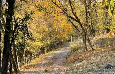 Woodland Oasis - Foto 9