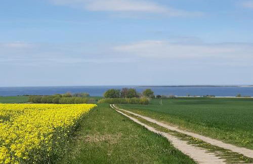 2 Ferienhäuser im Doppelpack für Naturliebhaber, strandnah, ruhig, mit großen Gärten - Foto 48