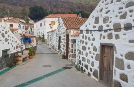 Casa Reyes Fataga - Foto 13