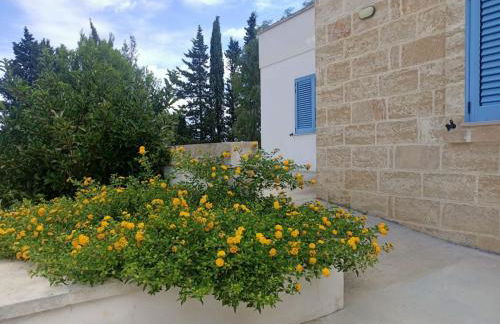 DOMUS BARONE - Foto 36