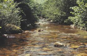 La casina Redes -Tlf 67964 nueve cero tres uno - Foto 6