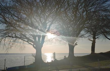 Apartament DELFIN - Photo 34