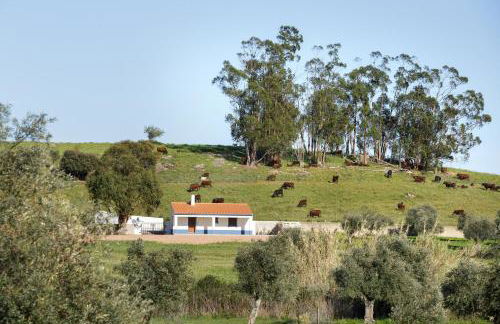 Monte de Matacães - Foto 7