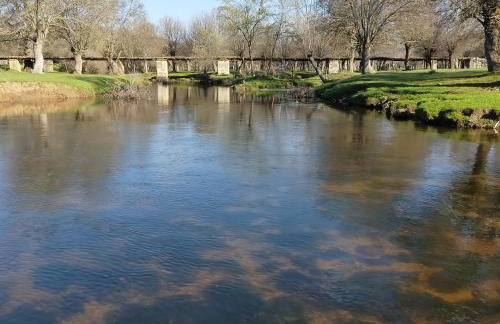 El rincón del molino - Foto 20