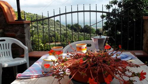 Casa Velia - Foto 2, Garden