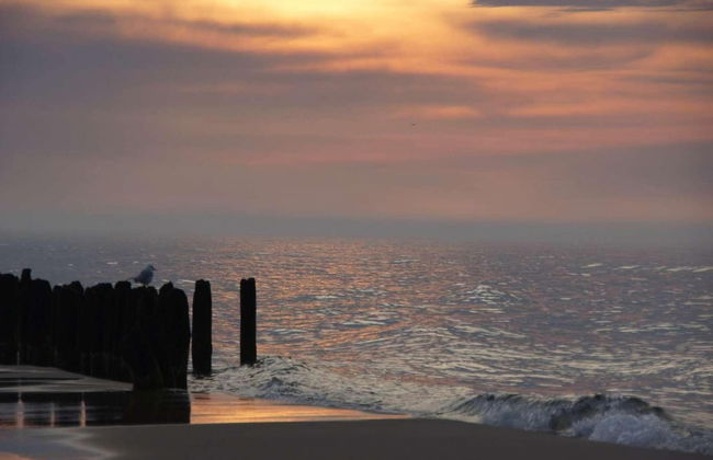 Comfortable Holiday Homes With air Conditioning - Foto 17