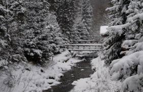 Domek Krasnal - Foto 38