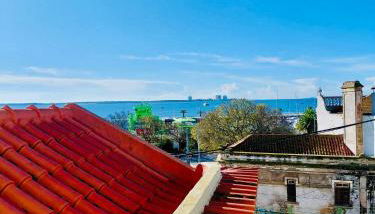 Tree House III - Foto 3