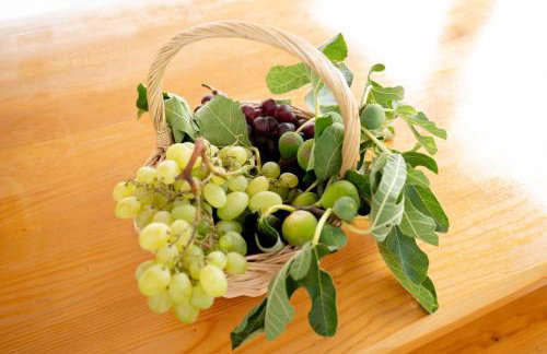 Villa Bistre - Foto 46