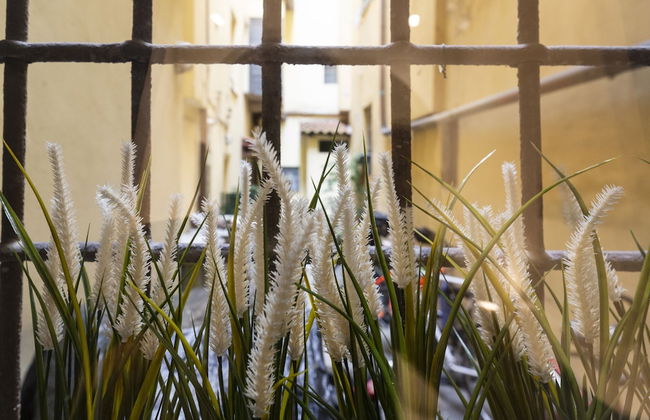 nota-Mi - Domus Ticinese - Photo 20