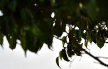 Galazio suites 2 - Foto 41